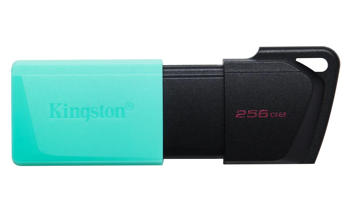 Памет USB Kingston Technology KINGSTON 256GB DataTraveler Exodia M