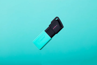 Памет USB Kingston Technology KINGSTON 256GB DataTraveler Exodia M