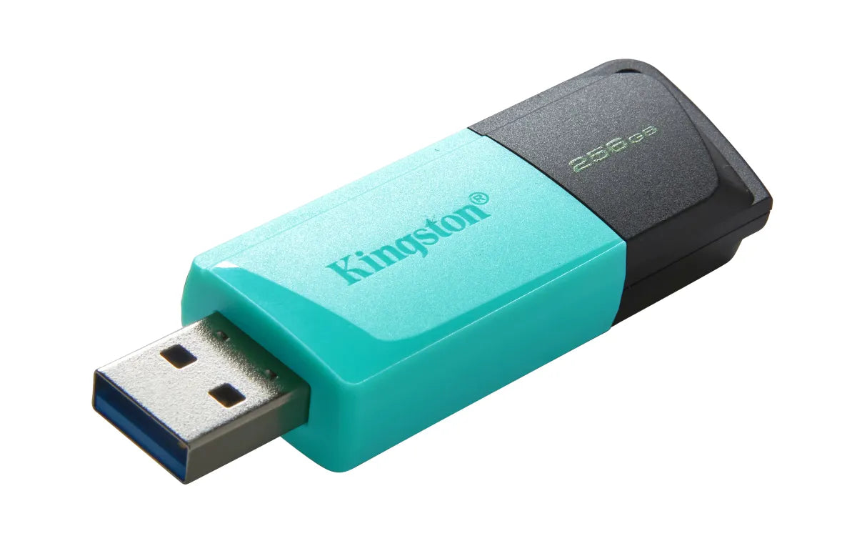 Памет USB Kingston Technology KINGSTON 256GB DataTraveler Exodia M