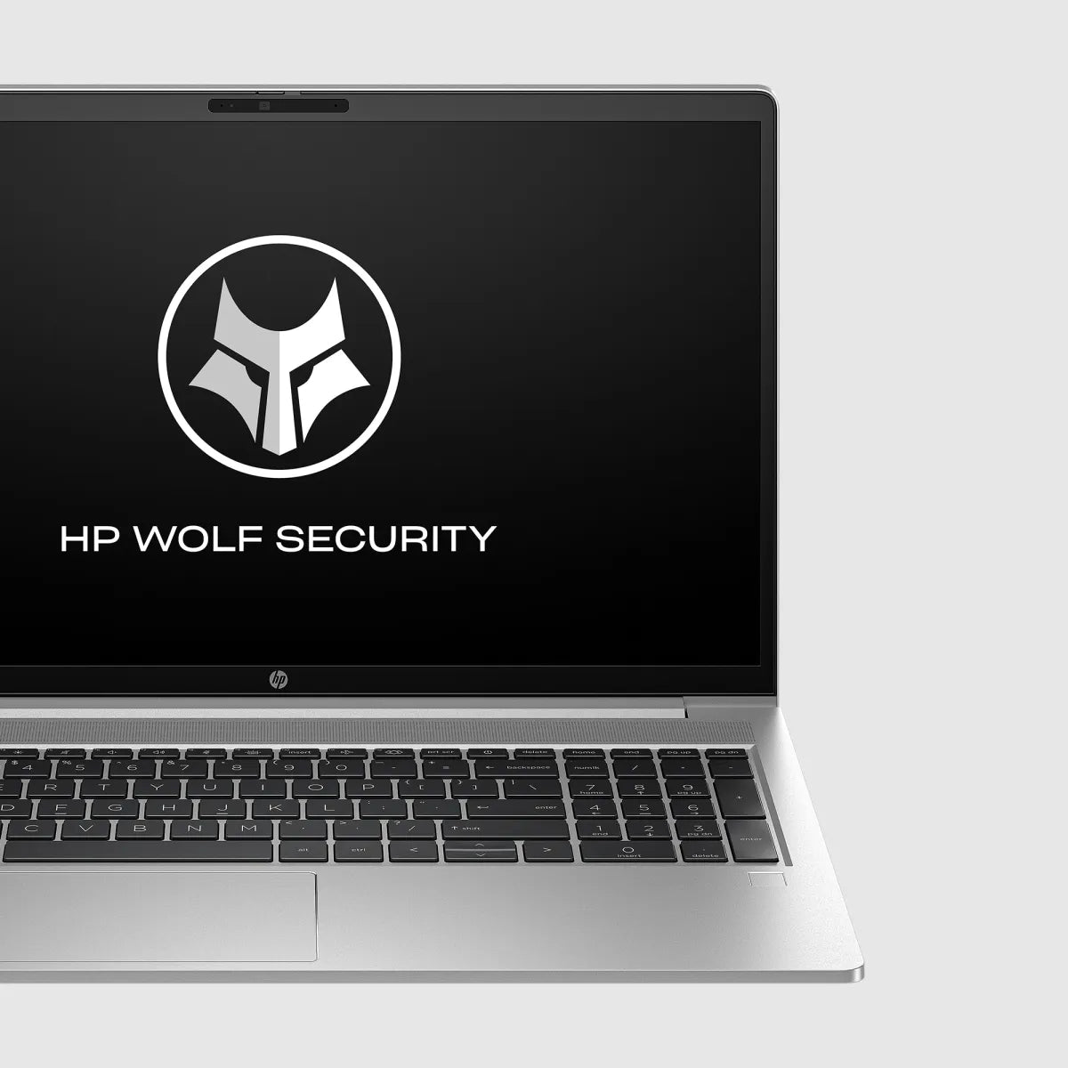 HP ProBook 455 G10 AMD Ryzen 7 7730U 15.6inch FHD 16GB 512GB SSD W11P (BG)