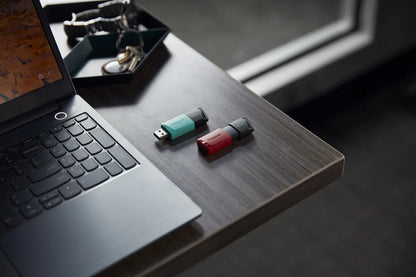 Памет USB Kingston Technology KINGSTON 256GB DataTraveler Exodia M