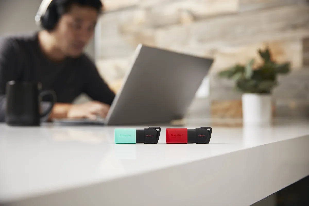 Памет USB Kingston Technology KINGSTON 256GB DataTraveler Exodia M